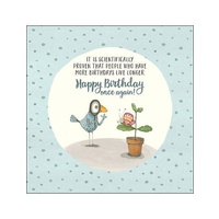 TWIGSEEDS | Card - Happy Birthday Once Again