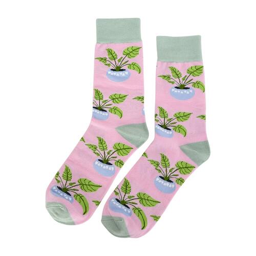ANNABEL TRENDS | Boxed Jacquard Socks – You Grow Girl