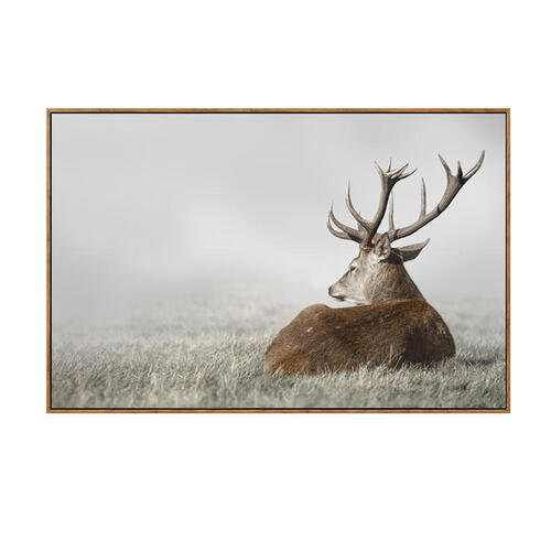 Winter Stag - Canvas Print with Natural Frame