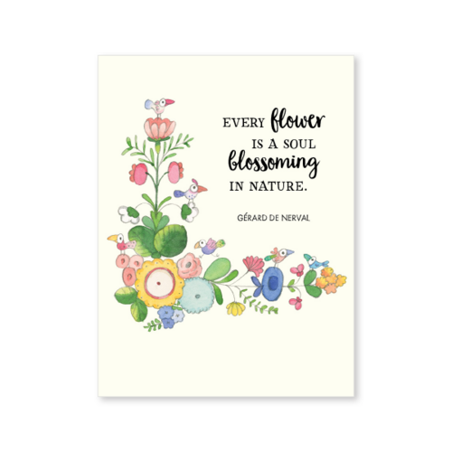 TWIGSEEDS | A little box of flowers