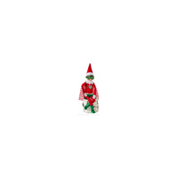 ELF ON THE SHELF | Claus Couture Scout Elf Superhero