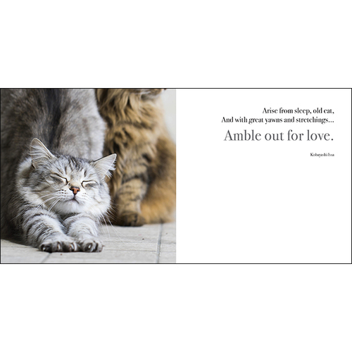 AFFIRMATIONS | Book - The Great Catsby