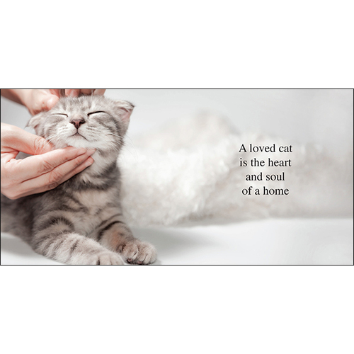 AFFIRMATIONS | Book - The Power Of Meows