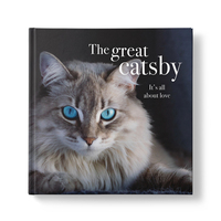 AFFIRMATIONS | Book - The Great Catsby