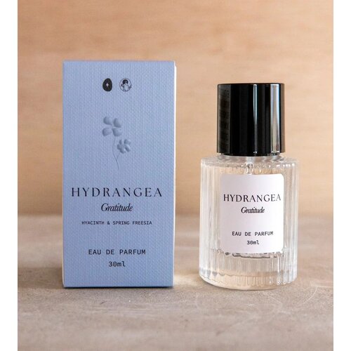 Studio Sol | Hydrangea Eau De Parfum | Gratitude