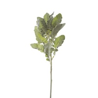 Dusty Miller Spray Frosted Grey (73cmH)