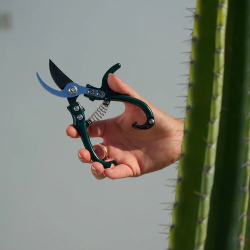 annabel trends -  MINI Pruners