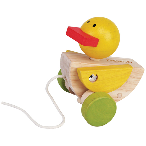 EVEREARTH | Pull Along Duck