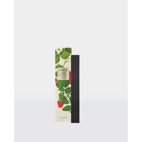 Raspberry &amp; Rhubarb Scent Stems Refill