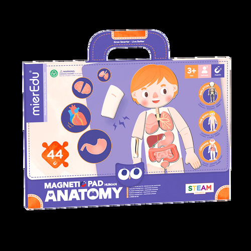 mierEdu Magnetic Pad - Anatomy