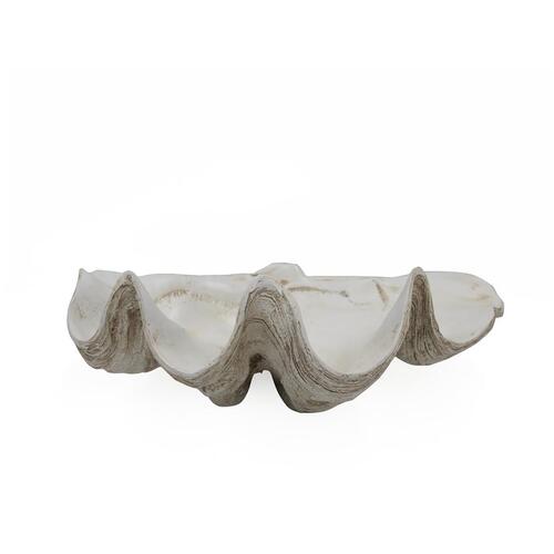 Clam Shell - Antique White Medium