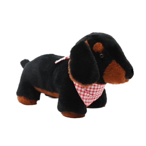 Petite Vous Hunter the Dachshund