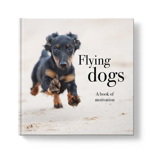 AFFIRMATIONS | Book - Flying Dogs