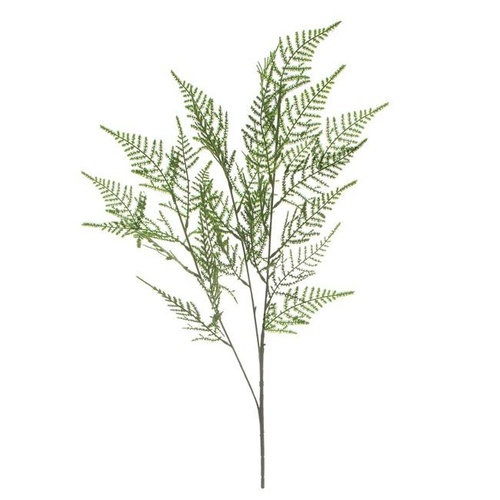 Leaf Cypress Fern Spray Green - (73cmH)