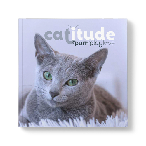 AFFIRMATIONS | Book - Catitude